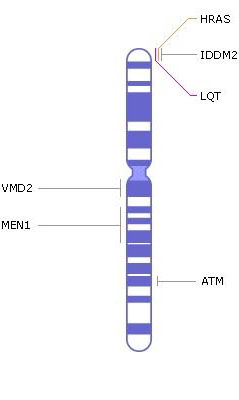 хромосома 11, генетические заболевания, гены