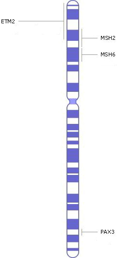 хромосома 1, расположение генов, генетические заболевания