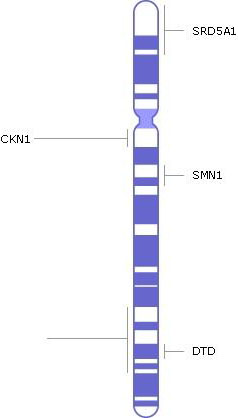 хромосома 5, гены, генетические заболевания