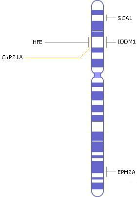 хромосома 6, гены, генетические заболевания