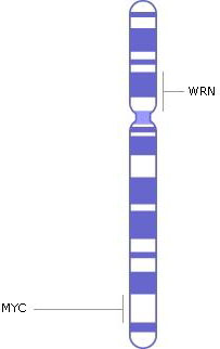 хромосома 8, ген, генетичні захворювання