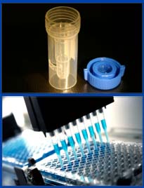 Генетичний тест, тест ДНК, дослідження однонуклеотидних поліморфізмів