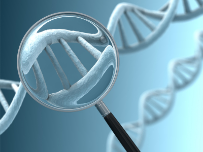 генетическая дискриминация, ДНК, геном