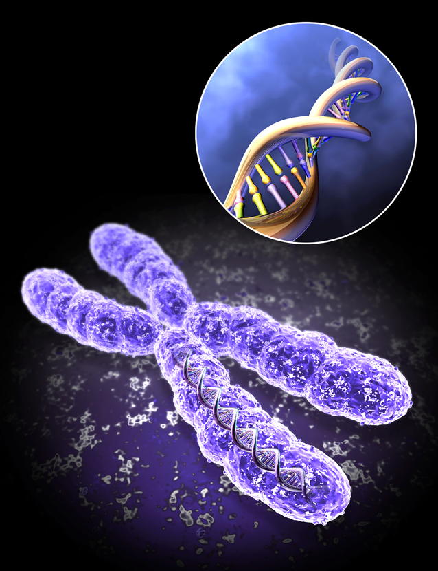 Х-хромосома, генетичне захворювання
