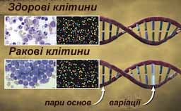 ракові клітини, секвенування ДНК, ген